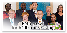 FN panel